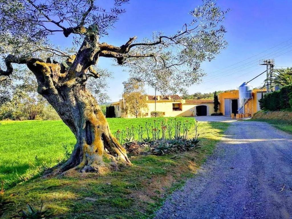 지로나 Rural Mas Hortus 빌라 외부 사진